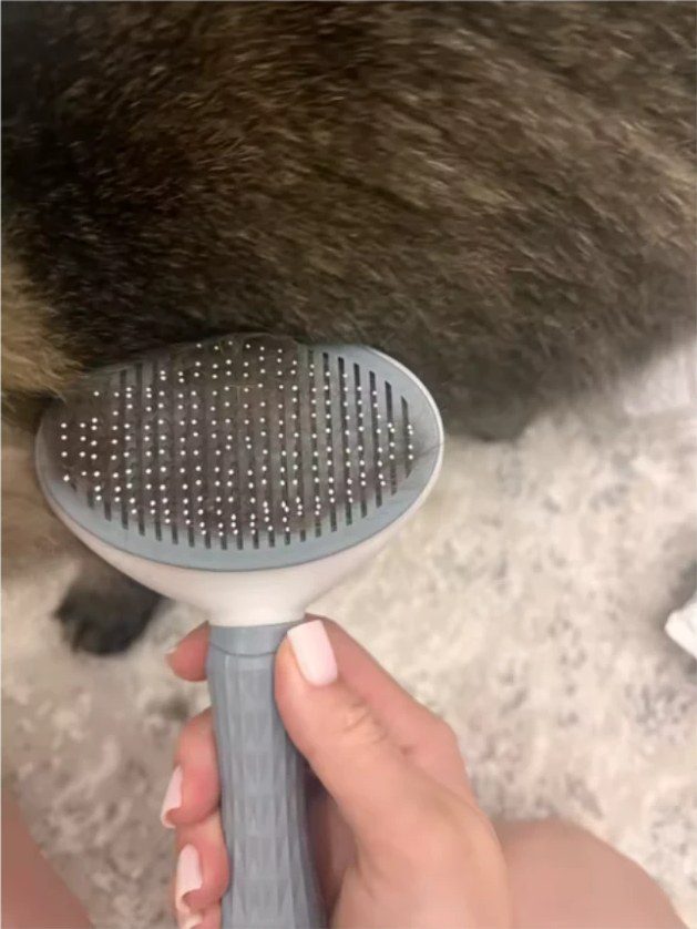 Foto real del cepillo de un comprador